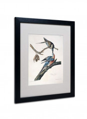 Paris In Frames 9 Wooden Framed Wall Art multicolour 11 x 14inch