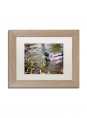 Mallard Birch Frame Wall Art Multicolour 11 x 14inch
