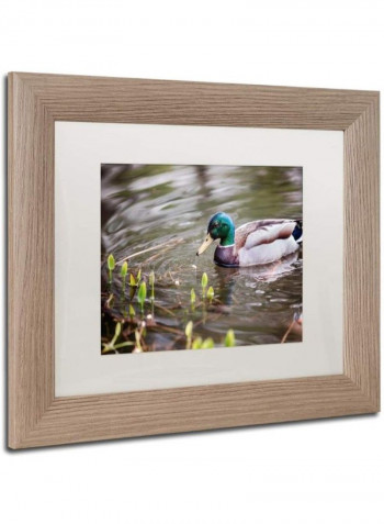 Mallard Birch Frame Wall Art Multicolour 11 x 14inch