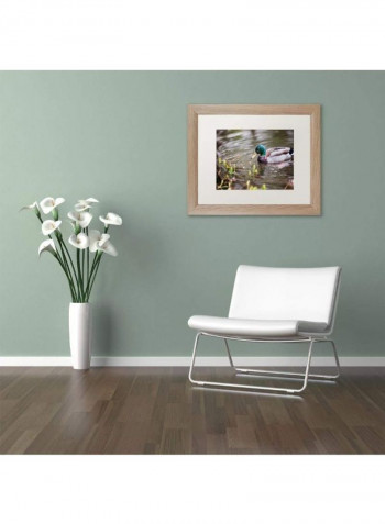Mallard Birch Frame Wall Art Multicolour 11 x 14inch