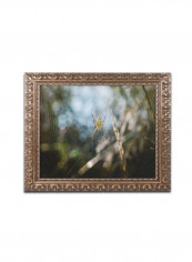 Orange Maple Framed Wall Art multicolour 11 x 14inch