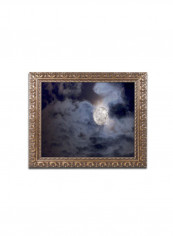 Sunset Palm Framed Wall Art Multicolour 16 x 20inch