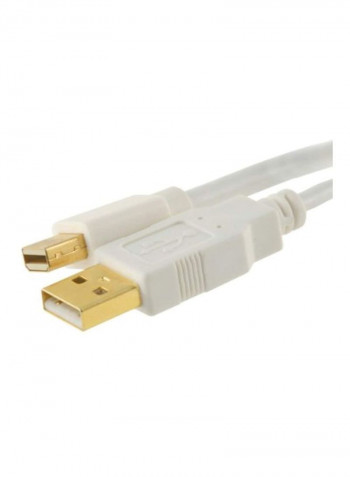 DisplayPort Male To HDMI Cable 9.3inch White