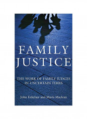 Family Justice: The Work Of Family Judges In Uncertain Times Hardcover