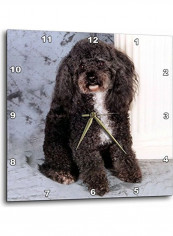 Poodle Wall Clock Multicolour 15x15inch