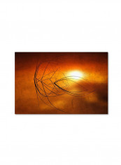 Touch Of Last Light Canvas Wall Art Yellow/Red 16 x 24inch