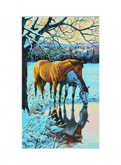 Horse Reflections Paint Green/Blue/Beige reviews Horse Reflections Paint Green/Blue/Beige