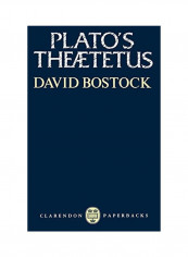 Plato's Theaetetus Paperback