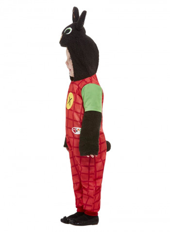 Bing Deluxe Costume S