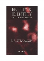 Entity and Identity: And Other Essays Paperback