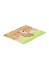 Dog Kitchen Mat Multicolour 18 x 24inch