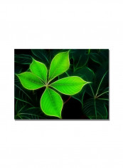Big Green Leaf Canvas Wall Art Green 18 x 24inch reviews Big Green Leaf Canvas Wall Art Green 18 x 24inch
