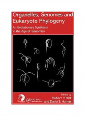 Organelles, Genomes and Eukaryote Phylogeny: An Evolutionary Synthesis in the Age of Genomics Paperback English by Robert P. Hirt