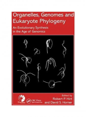 Organelles, Genomes and Eukaryote Phylogeny: An Evolutionary Synthesis in the Age of Genomics Paperback English by Robert P. Hirt
