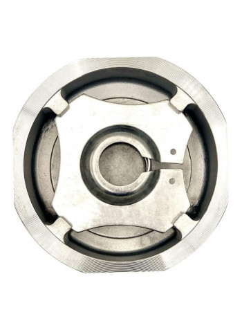Disc Check Valve Silver 3inch