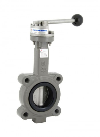 Ductile Iron Lug Type Butterfly Valve Grey/Black 2.5inch