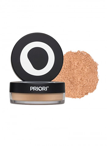 All-Natural Mineral Loose Powder Foundation With SPF25 Warm Beige