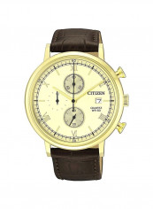 Men's Water Resistant Chronograph Watch AN3612-09P