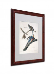 Parrot Tulip Wooden Framed Wall Art multicolour 16 x 20inch