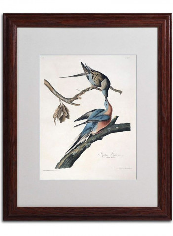 Parrot Tulip Wooden Framed Wall Art multicolour 16 x 20inch