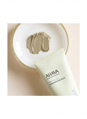 Time To Clear Purifying Mud Mask 100ml