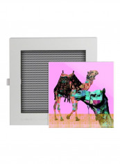 Clarus Edition Camel Couple Wall Art Pink/Turquoise 50x50centimeter