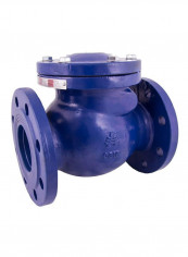 Classic DI Swing Check Valve Blue 2inch reviews Classic DI Swing Check Valve Blue 2inch