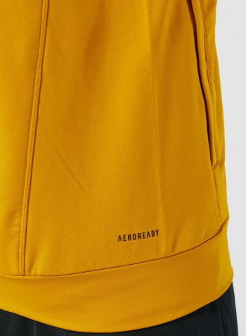 Stripe Patterned Hooded Jacket Yellow