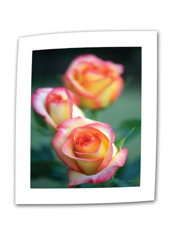 Rose Trio Canvas Art Multicolour 32 x 48inch