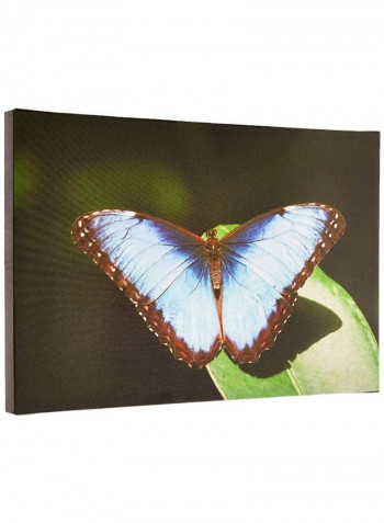 Blue Morpho Canvas Wall Art Multicolour 16 x 24inch