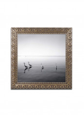 Herons Framed Wall Art Multicolour 11 x 11inch