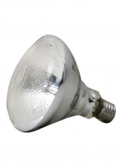 Solar UV Spot Plus Lamp