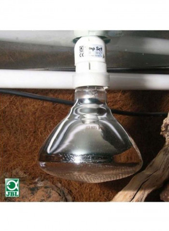 Solar UV Spot Plus Lamp