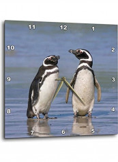 DPP 86492 2 Magellanic Penguins Rest Together on The Beach Wall Clock Multicolour 13x13inch