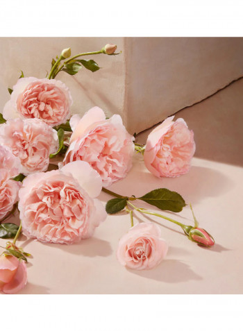 Roses De Chloe EDT 75ml