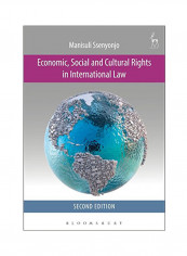Economic, Social And Cultural Rights In International Law: Second Edition Paperback