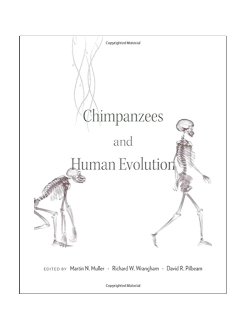 Chimpanzees And Human Evolution Hardcover 1