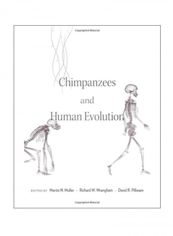 Chimpanzees And Human Evolution Hardcover 1