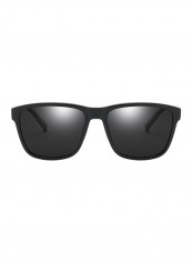 Wayfarer Sunglasses