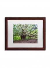 Banyan White Matte Archival Paper Artwork Wooden Frame Wall Art Multicolour 16 x 20inch