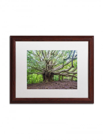 Banyan White Matte Archival Paper Artwork Wooden Frame Wall Art Multicolour 16 x 20inch