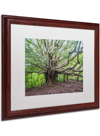 Banyan White Matte Archival Paper Artwork Wooden Frame Wall Art Multicolour 16 x 20inch
