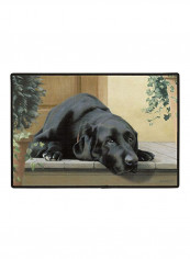Lab Porch Doormat Multicolour 0x18x27inch