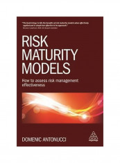 Risk Maturity Models Paperback 1