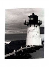 Decorative Wall Poster Black/White 32x48inch