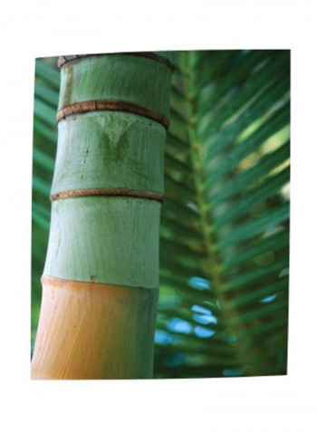 Bamboo And Fern Canvas Wall Painting Green/White/Brown 3.5x16x11inch