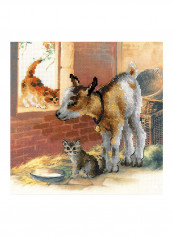 10-Piece Goatling And Kitten Red/Beige/Green