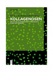 Kollagenosen : Der Aktuelle Wissensstand Zu Diagnostik Klinik Und Therapie Hardcover