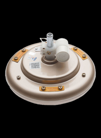 Regal Gold Ceiling Fan 65 W 250806 Gold