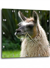 DPP 86091 3 Hacienda Cusin Llama Wall Clock Multicolour 15x15inch
